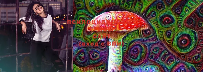 Псилоцибиновые грибы Cubensis  Оса 